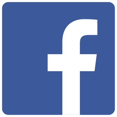 facebook-talent-nature-interim